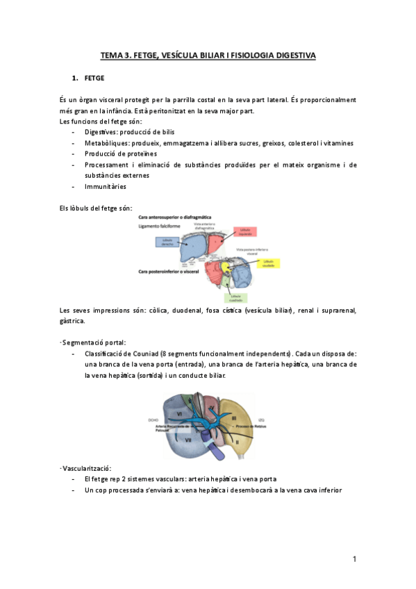 Miniatura del documento BLOC-7.-T3.-Fetge-vesicula-biliar-i-fisiologia-digestiva.pdf