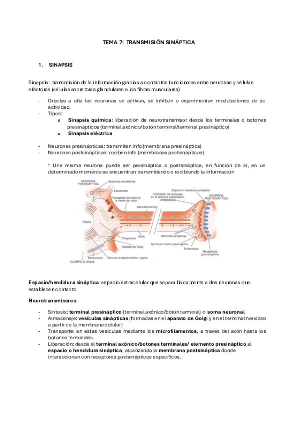 Miniatura del documento TEMA-7-FPB.pdf