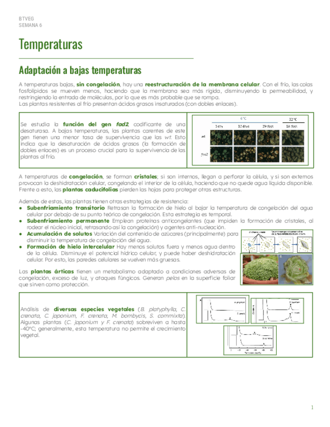 Miniatura del documento S6-Temperaturas.pdf