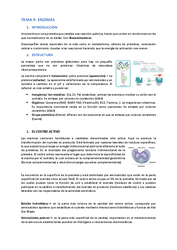 Miniatura del documento Bioquimica-2do-cuatri-apuntes.pdf