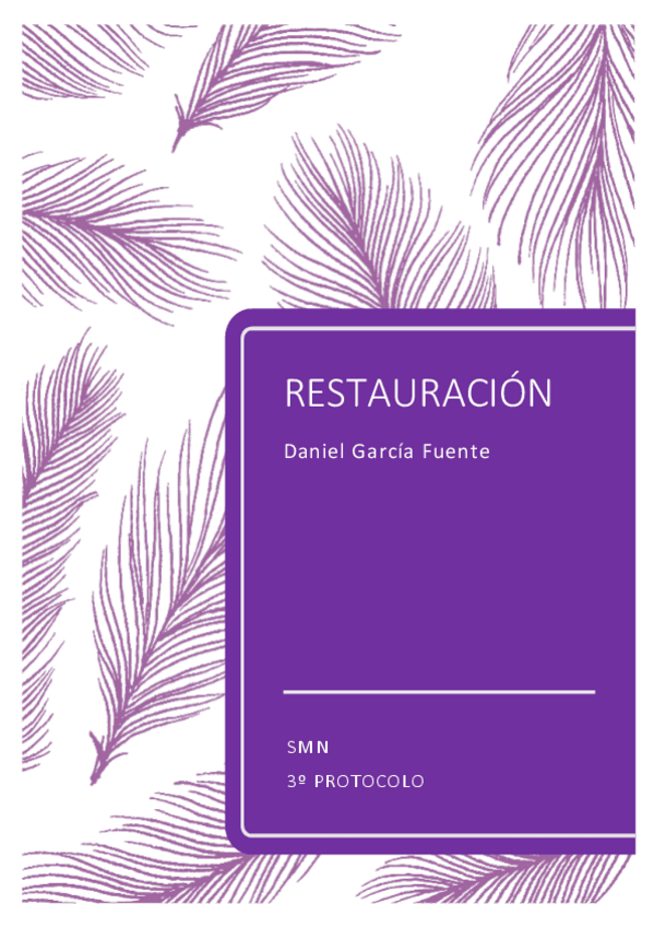 Miniatura del documento RESTAURACION.pdf