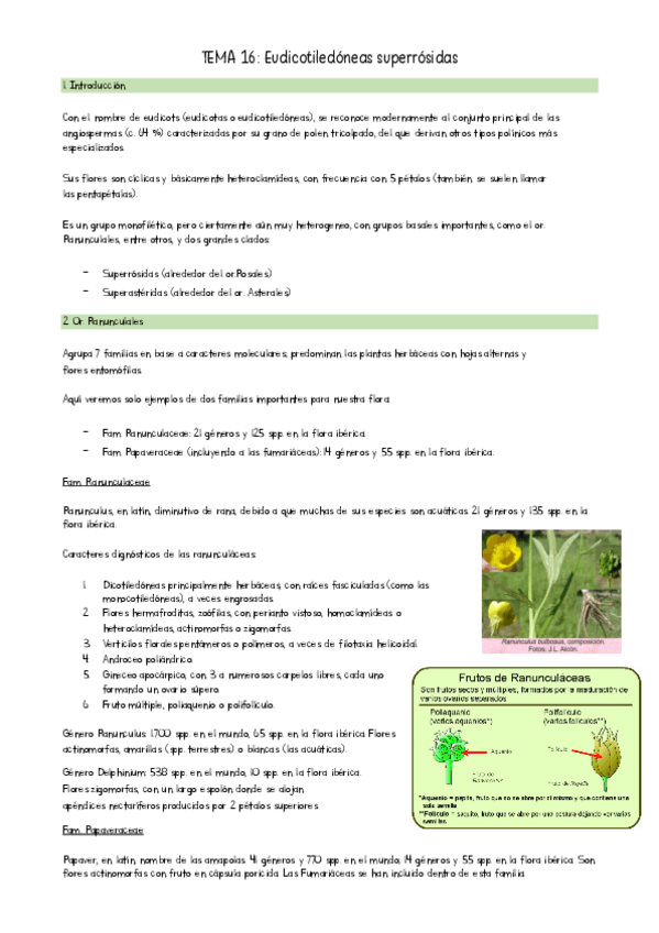 Miniatura del documento TEMA-16-Botanica-II.pdf