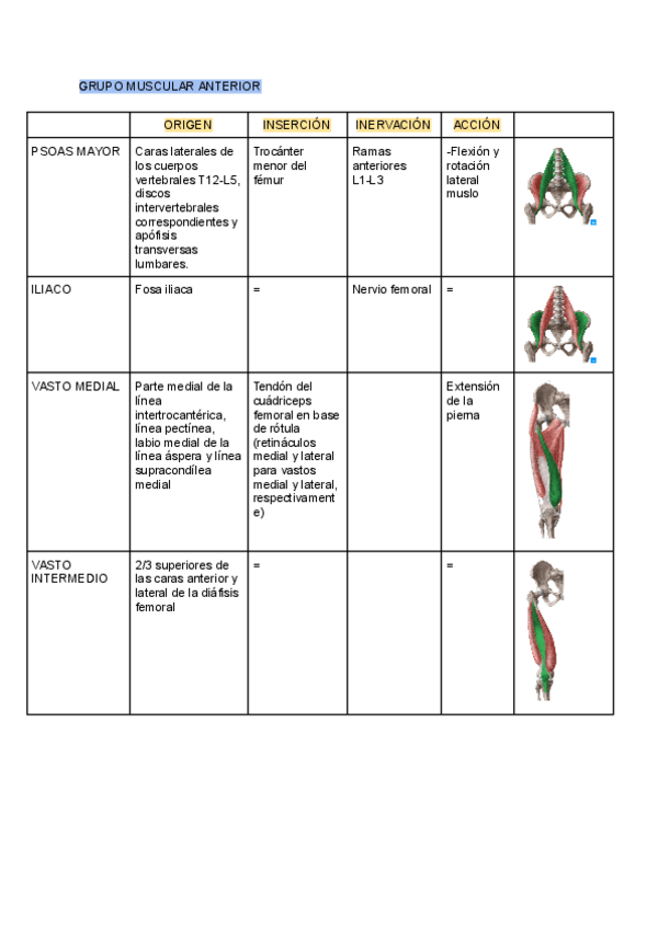 Miniatura del documento TABLA-MUSCULOS-TEMA-21.pdf