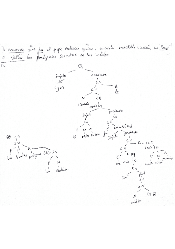 Miniatura del documento Documento.pdf