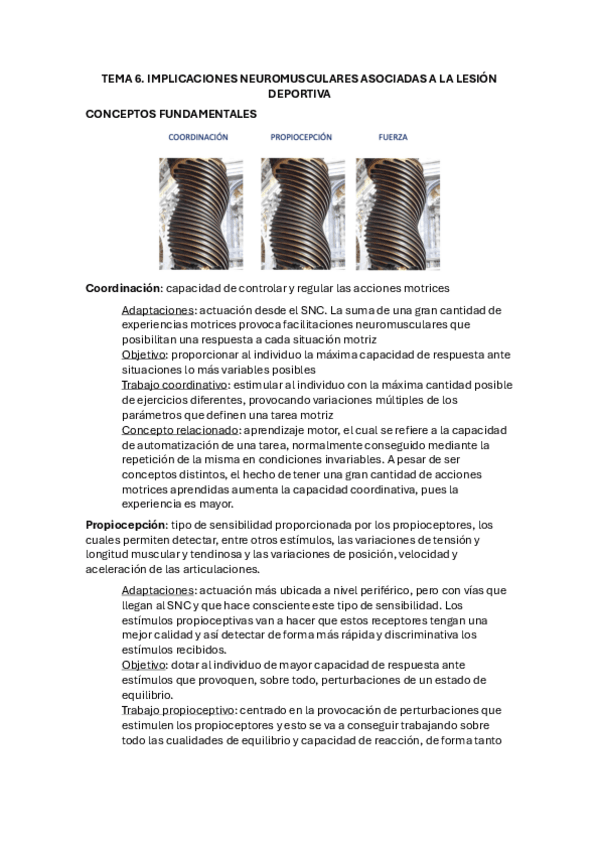 Miniatura del documento TEMA-6.-IMPLIACION-NEUROMUSCULAR.pdf