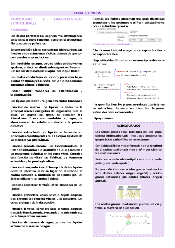 Miniatura del documento Tema 7 química biomolecular, Lípidos.pdf