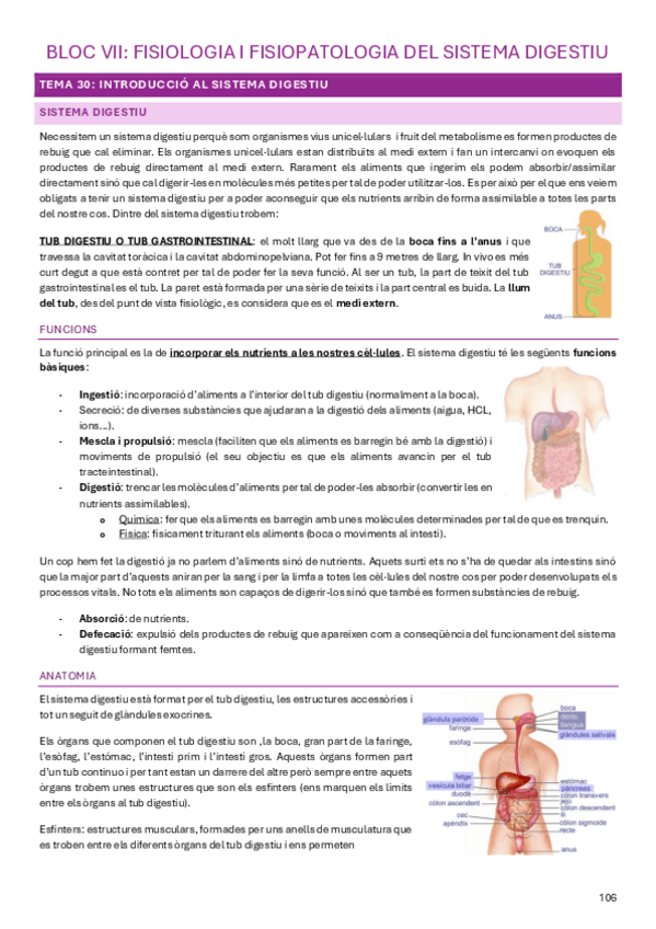 Miniatura del documento Fisiologia-i-Fisiopatologia-II-2024-Tema-30.pdf