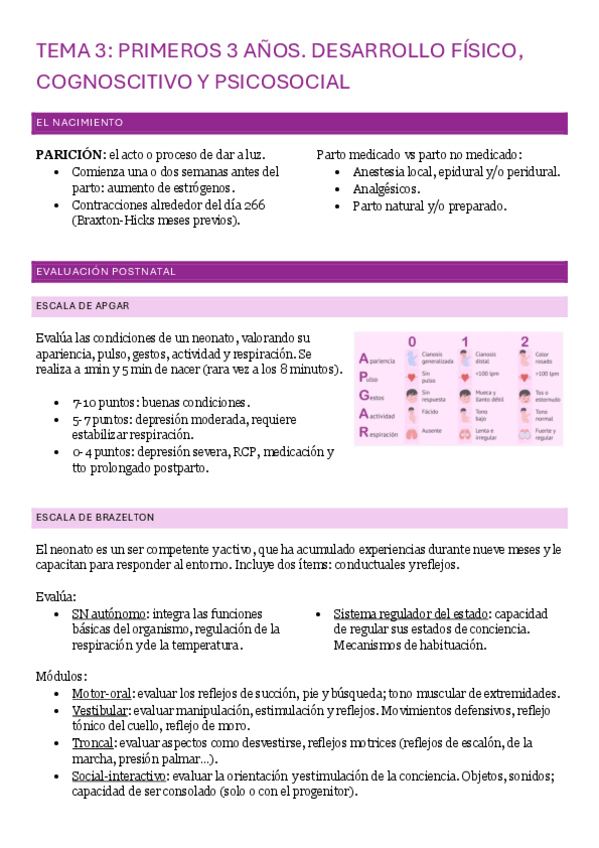Miniatura del documento TEMA-3-PRIMEROS 3 AÑOS.pdf