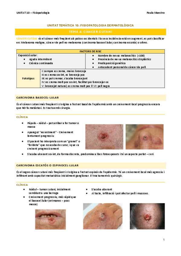Miniatura del documento UNITAT-10.4-Fisiopatologia.pdf
