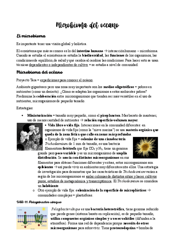Miniatura del documento Sem-8.-Microbioma-del-oceano.pdf