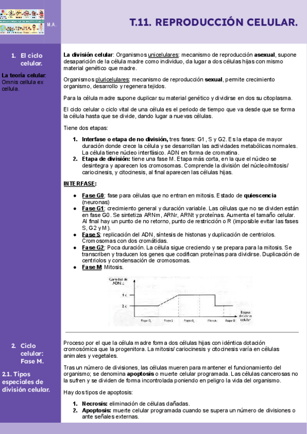 Miniatura del documento Tema-11-Reproduccion-celular-Bio-II.pdf