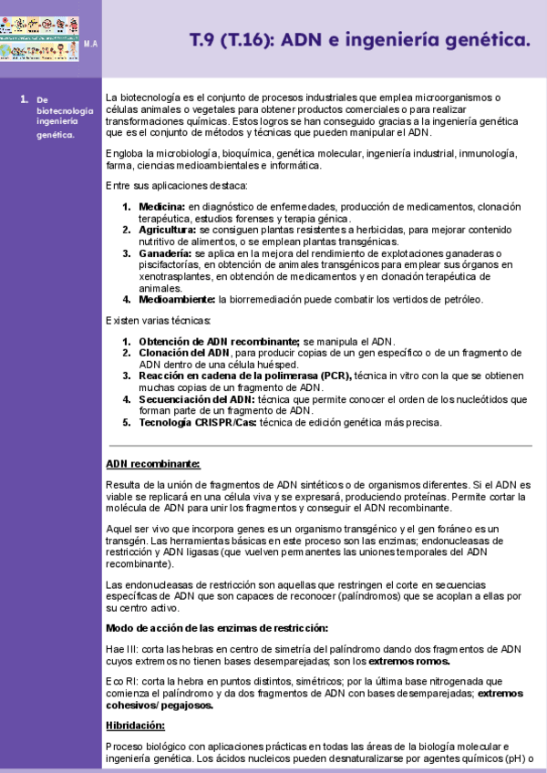 Miniatura del documento Tema-9-ADN-e-ingenieria-genetica-Bio-II.pdf