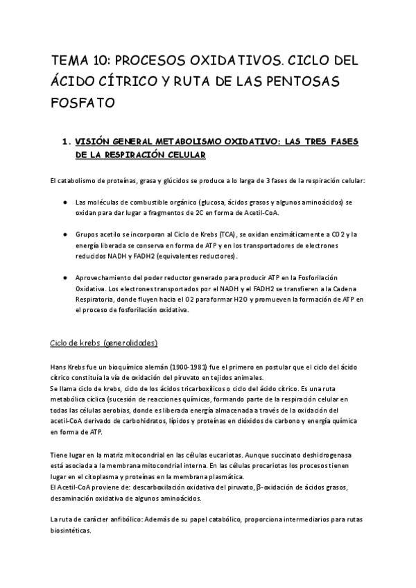 Miniatura del documento Tema-10.-Procesos-oxidativos-ciclo-de-Krebs-y-ruta-pentosas-fosfato.pdf