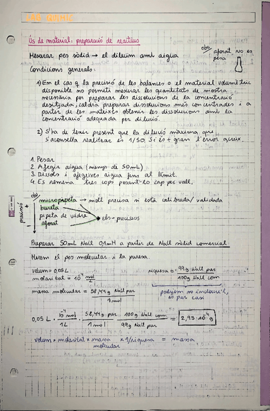 Miniatura del documento LABORATORI-QUIMIC.pdf