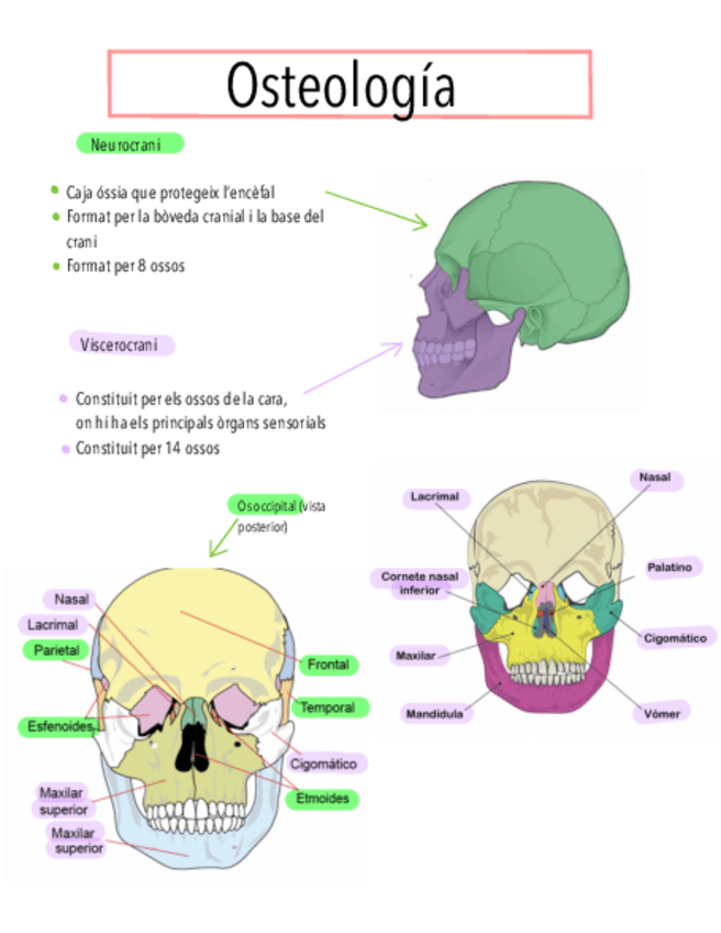 Miniatura del documento CRANI.pdf
