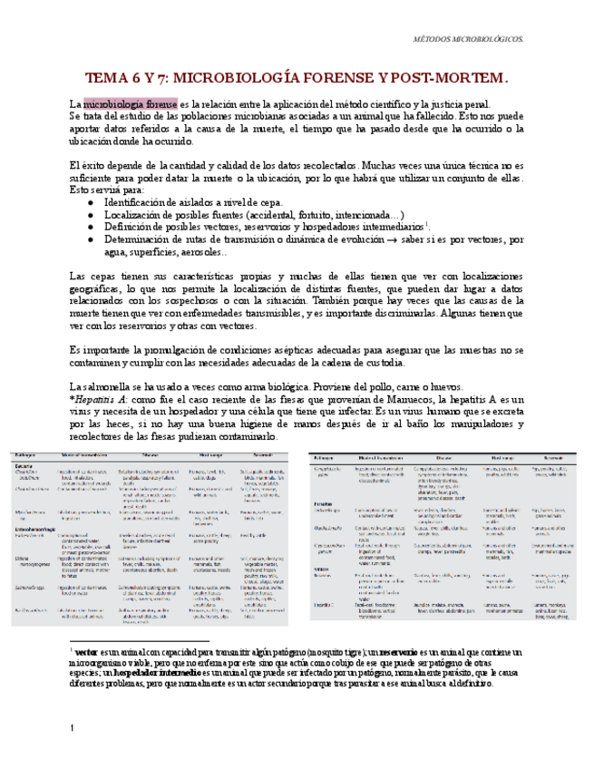 Miniatura del documento TEMA-6-Y-7-metodos-micro.pdf