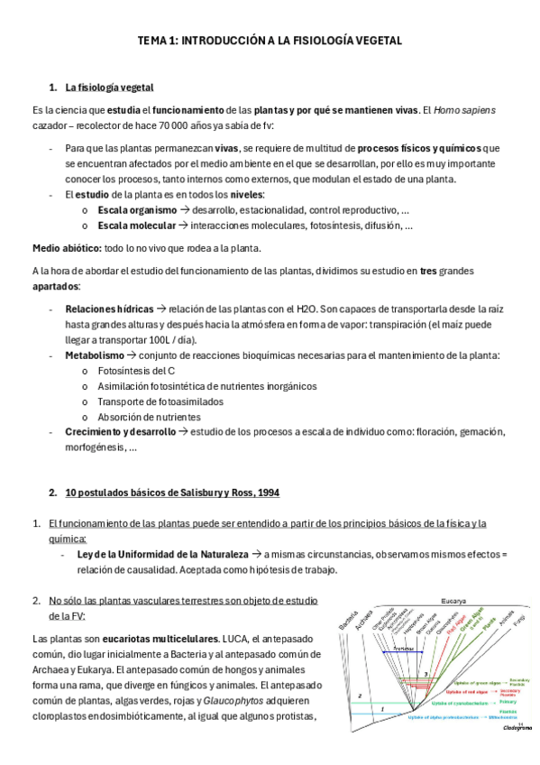 Miniatura del documento Tema-1-FV.pdf