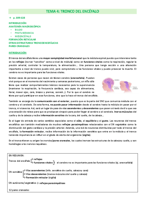 Miniatura del documento COMPLETO-Tema-4-tronco-del-encefalo.pdf