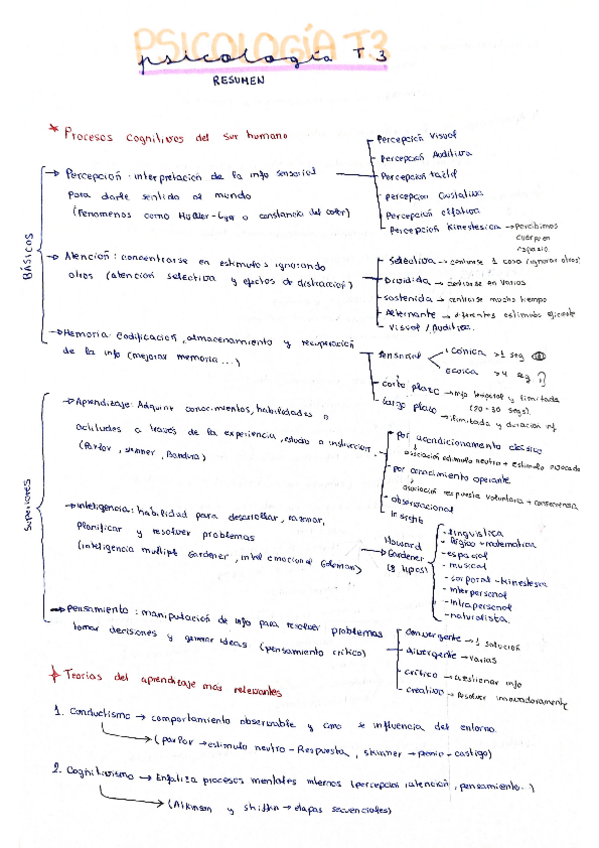 Miniatura del documento RESUMEn-procesos-cognitivos-y-el-ser-humano.pdf