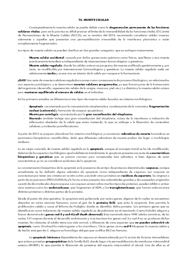 Miniatura del documento RESUMEN-TEMA-4.pdf