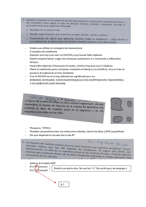 Miniatura del documento EXAMEN-PARCIAL-ECO-2024.pdf