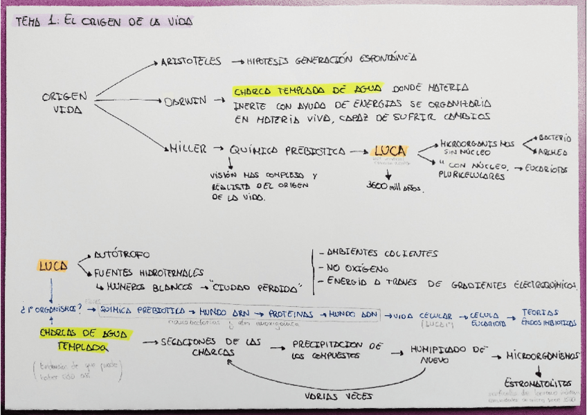 Miniatura del documento Esquemas T1-4 (1Parcial).pdf
