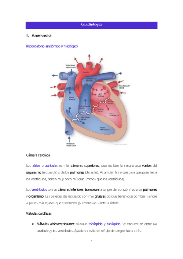 Miniatura del documento Tema-9.-Cardiologia.pdf