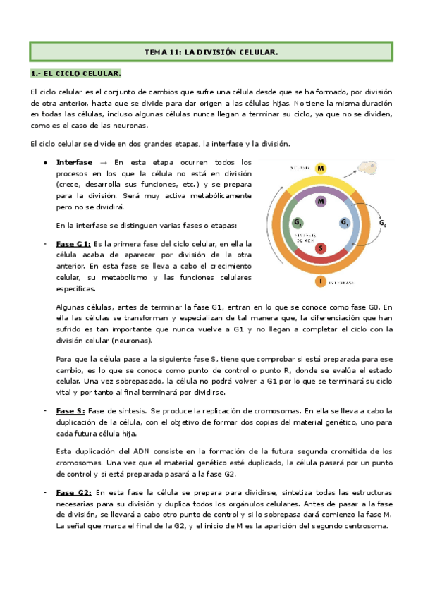 Miniatura del documento BLOQUE-3-T.-11-13.pdf