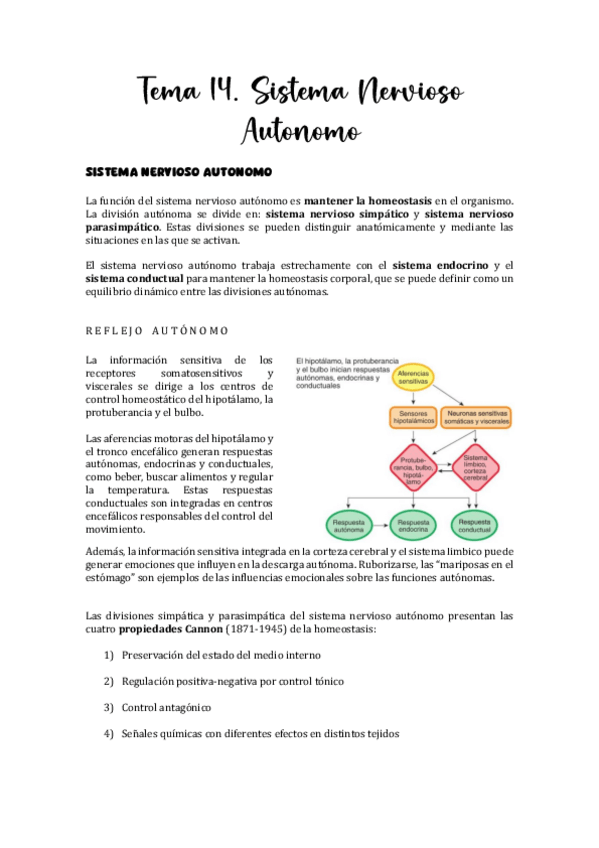 Miniatura del documento Tema-14.-Sistema-Nervioso-Autonomo.pdf