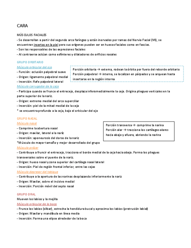 Miniatura del documento Cara.pdf