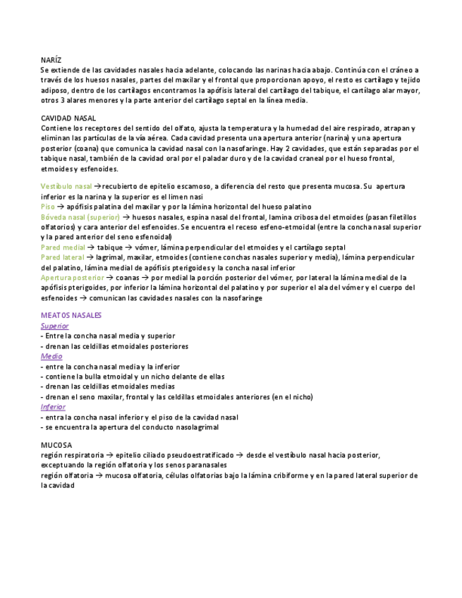 Miniatura del documento Cavidad-nasal.pdf