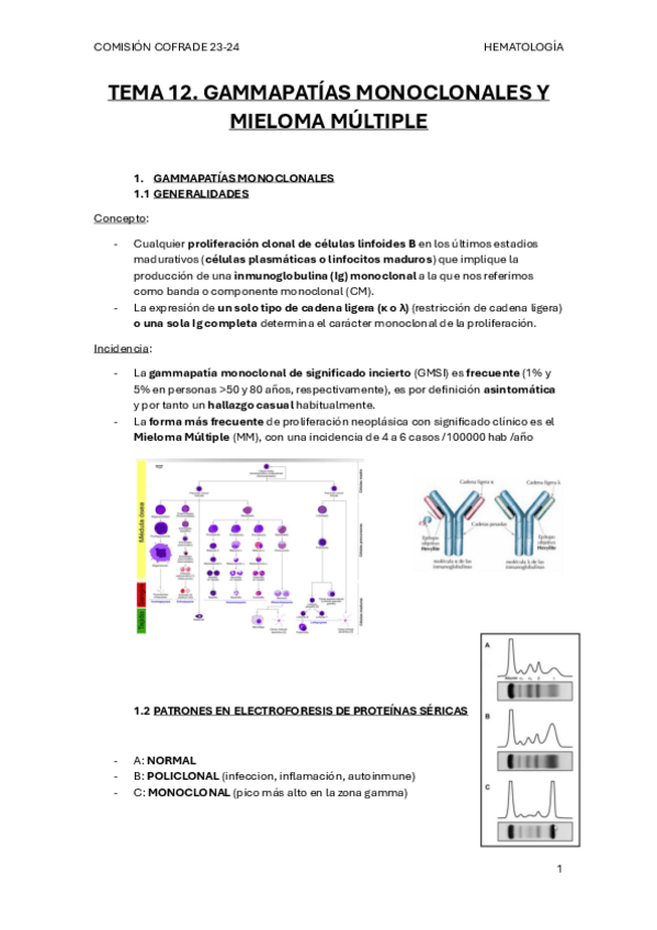 Miniatura del documento TEMA-12.-GAMMAPATIAS-MONOCLONALES-Y-MIELOMA-MULTIPLE.pdf