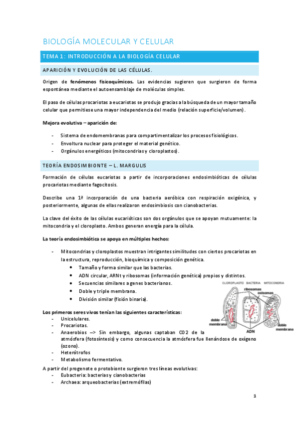Miniatura del documento BIOLOGIA-MOLECULAR-Y-CELULAR.pdf