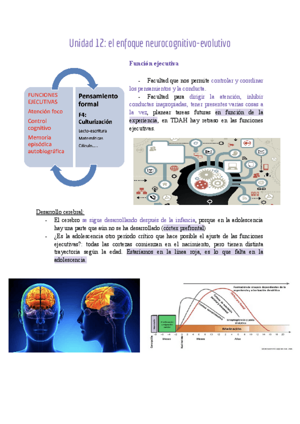 Miniatura del documento Unidad-12-el-enfoque-neurocognitivo-evolutivo.pdf