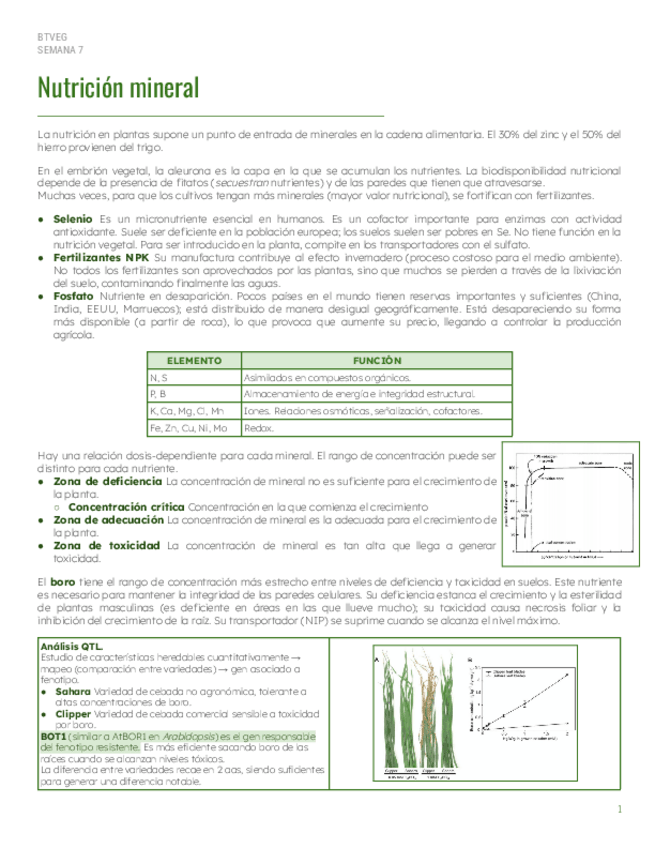 Miniatura del documento S7-Nutricion.pdf