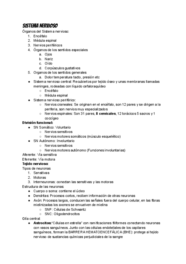 Miniatura del documento ANATOMIA 2 CUATRIMESTRE ULTIMO PARCIAL SN ENDOCRINO Y SENTIDOS.pdf