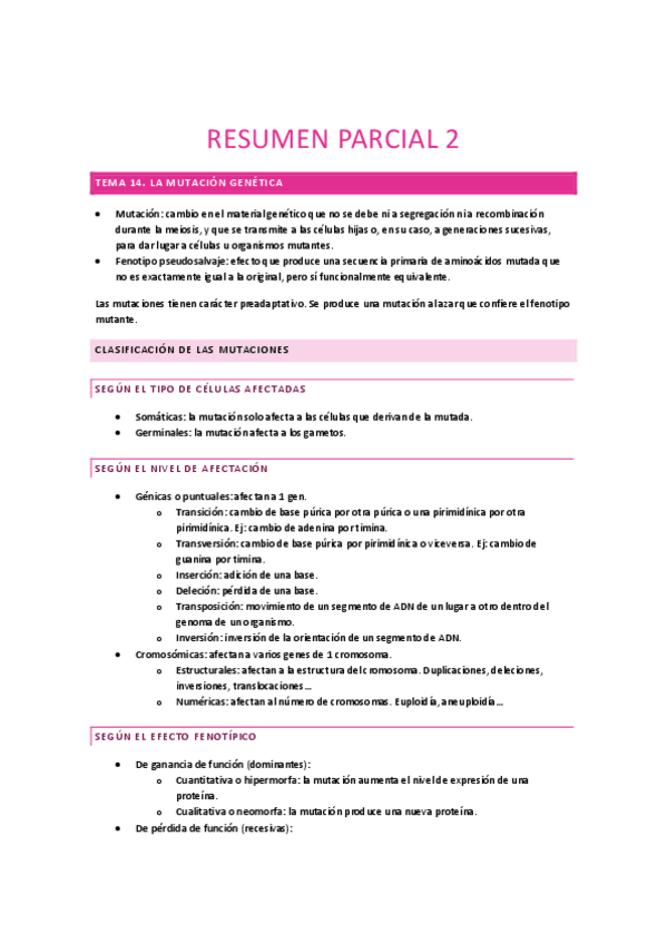 Miniatura del documento RESUMEN-PARCIAL-2.pdf