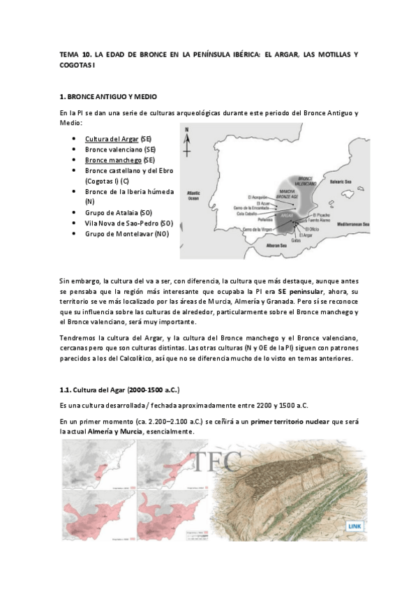 Miniatura del documento TEMA-10.pdf