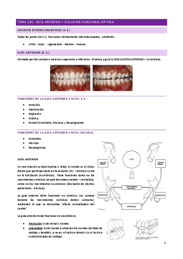 Miniatura del documento Tema-10C.pdf