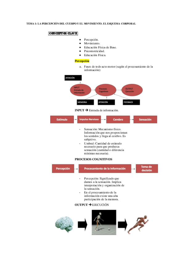 Miniatura del documento TEMA-1-LA-PERCEPCION-DEL-CUERPO-Y-EL-MOVIMIENTO.-EL-ESQUEMA-CORPORAL.pdf