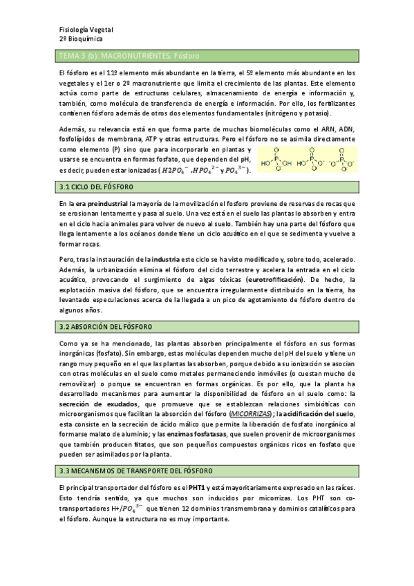Miniatura del documento TEMA-3b.pdf