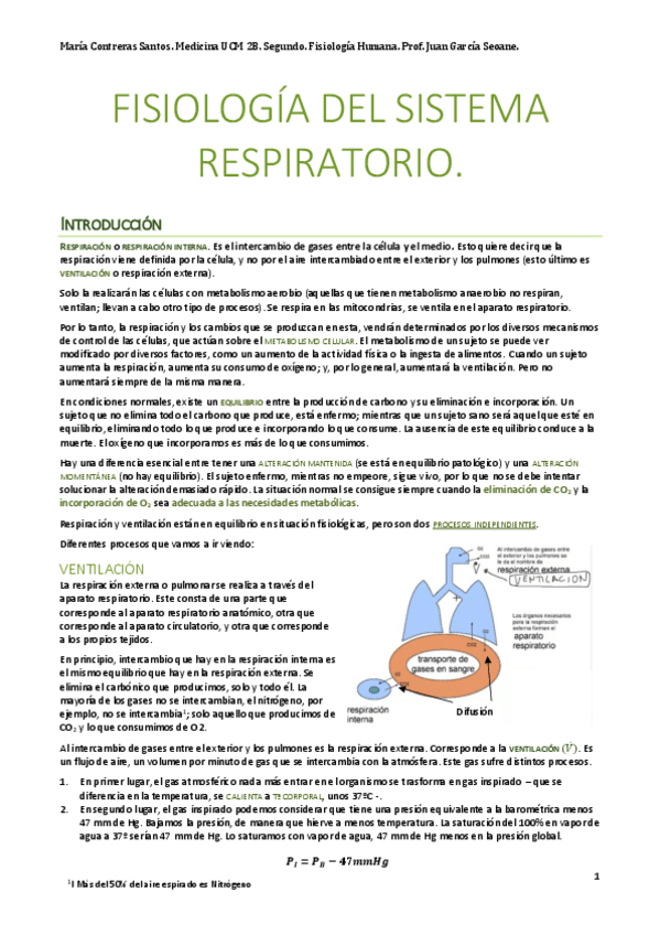 Miniatura del documento Fisio Respiratorio.pdf