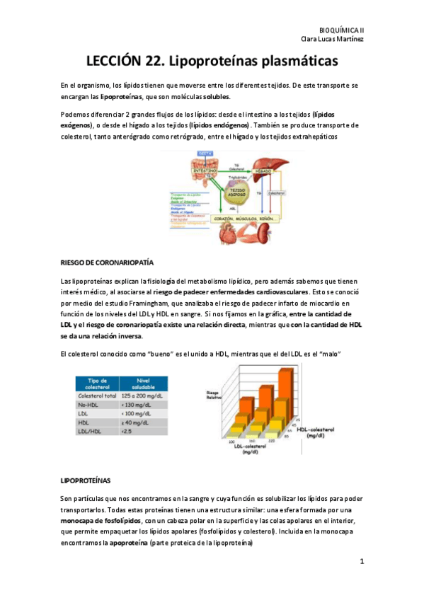 Miniatura del documento LECCION-22.-Lipoproteinas-plasmaticas.pdf