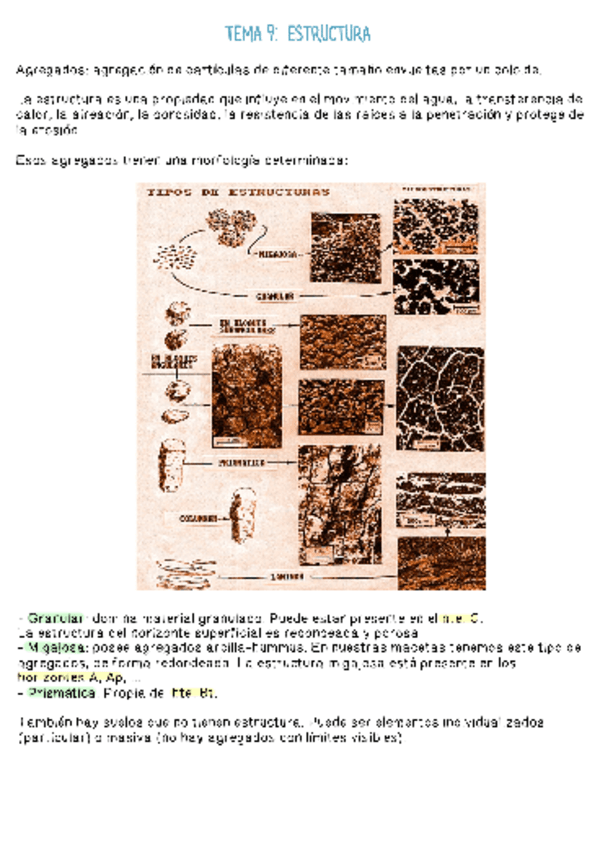 Miniatura del documento EDAFOLOGIA TEMA 9. ESTRUCTURA.pdf
