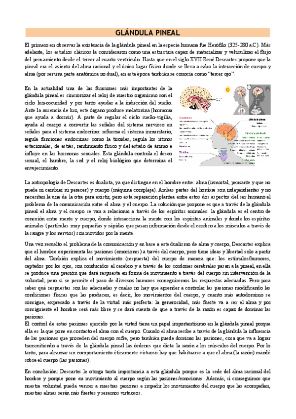 Miniatura del documento INVESTIGA-SOBRE-DESCARTES.-Trabajo-glandula-pineal.pdf