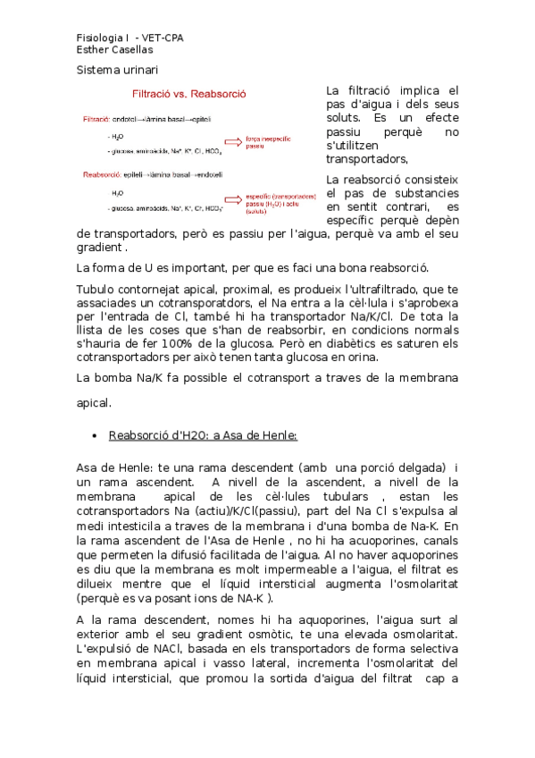 Miniatura del documento urinari.docx