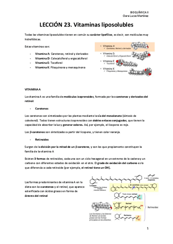 Miniatura del documento LECCION-23.-Vitaminas-liposolubles.pdf