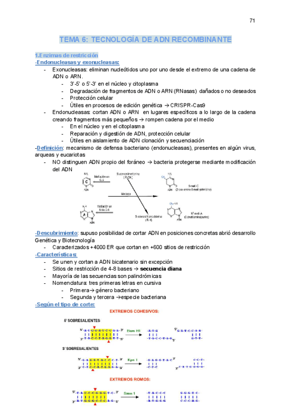 Miniatura del documento tema6-tecnologia-del-ADN-recombinante.pdf