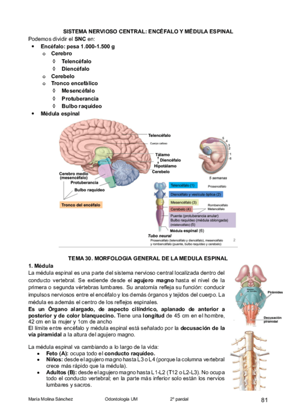 Miniatura del documento P3-2do-parcial-mariamolina9.pdf