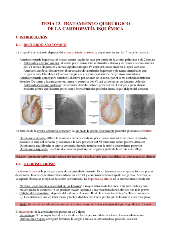 Miniatura del documento TEMA-13.-TRATAMIENTO-QUIRURGICO-DE-LA-CARDIOPATIA-ISQUEMICA.pdf